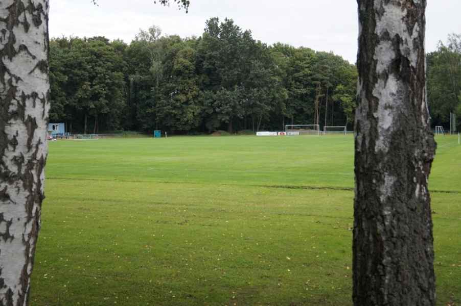 RSV Altenburg | Waldspielplatz Altenburg